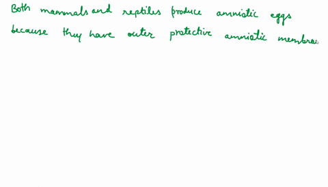 which-statements-are-true-about-the-phylogeny-of-chordates-the-amniotic-egg-in-reptiles-and-mammals-is-a-synapomorphy-mammals-and-reptiles-have-both-an-amniotic-egg-and-hair-all-the-species-66273