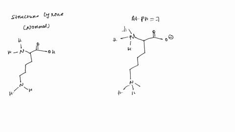 draw-a-diagram-of-the-lysine-side-chain-in-the-protonated-and-unprotonated-state-calculate-the-ratio-of-the-protonated-and-unprotonated-forms-of-this-side-chain-that-would-exist-at-ph-7-assu-24581