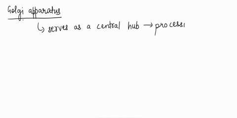 question-311-point-which-cellular-organelle-refines-and-packages-lipids-and-proteins-for-both-intracellular-and-extracellular-use-question-31-options-c-rer-golgi-apparatus-ribosomes-ogo-saro-51805