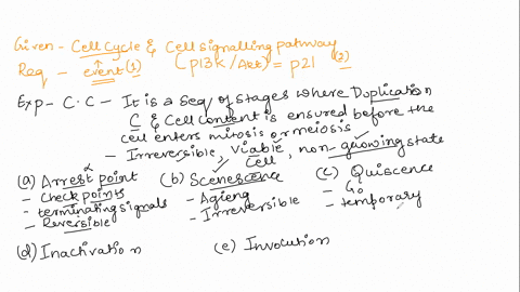 1-an-irreversible-arrest-in-the-cell-cycle-resulting-in-a-viable-but-non-growing-state-is-known-as-a-the-arrest-point-b-senescence-c-quiescence-d-inactivation-e-involution-2-levels-of-p21-ca-58359