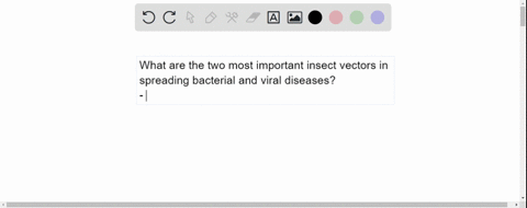 what-are-the-two-most-important-insect-vectors-involved-in-the-spread-of-bacterial-and-viral-diseases-multiple-choice-roaches-and-house-flies-fleas-and-mosquitoes-house-flies-and-ticks-mosqu-27868