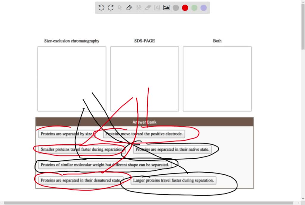 SOLVED Sizeexclusion column chromatography and SDSPAGE are methods used tO separate mixtures