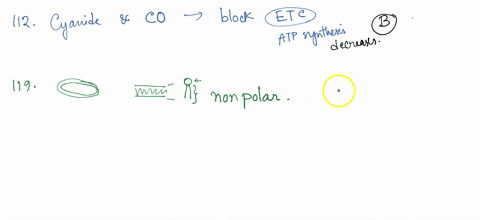 112-cyanide-and-carbon-monoxide-block-the-electron-transport-chain-asa-result-the-rate-of-a-atp-synthesis-increases-ib-atp-synthesis-decreases-c-photosynthesis-increases_-protein-synthesis-i-68827