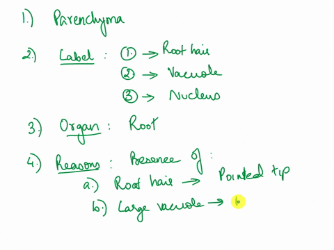 label-the-structure-then-answer-the-questions-that-follow