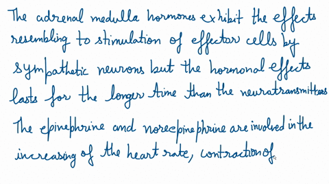 what-part-of-the-nervous-system-sets-off-the-fight-or-flight-reaction-and-how-does-this-reaction-aff-88615