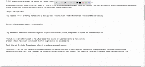 in-details-describe-the-avery-macleod-and-mccarty-experiment-describe-the-design-of-the-experiment-including-type-of-bacteria-used-and-3-treatments-the-controls-that-were-included-and-the-in-36824