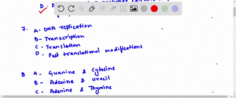 a-single-nucleotide-contains-how-many-phosphate-groups-one-b-two-three-d-all-of-the-above-nucleotide-can-have-one-tio-or-three-phosphate-groups-the-product-of-which-of-the-followving-process-23526