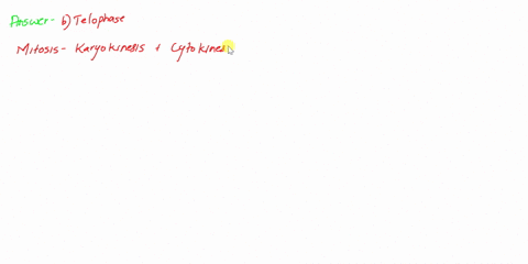 division-of-the-cell-cytoplasm-begins-during-what-stage-of-cell-division-in-plants-a-anaphase-b-telophase-c-g1-d-s-37654