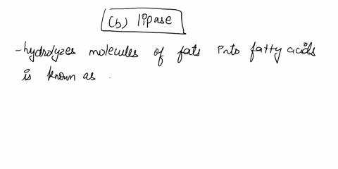 the-digestive-enzyme-that-hydrolyzes-molecules-of-fats-into-fatty-acids-is-known-as-a-bile-b-lipase-13748