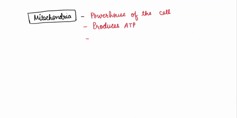 question-7-mitochondria-convert-the-energy-stored-in-atp-bwater-carbon-dioxide-dnad-e-sugars-to-usable-energy-for-the-cell-85034
