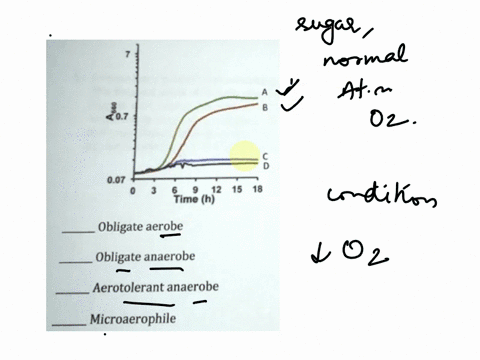 examine-the-graph-below-which-shows-growth-curves-of-strains-of-bacteria-grown-in-the-presence-of-glucose-nonal-atmospheric-levels-of-oxygen-because-d-both-failed-to-grow-under-this-conditio-36942