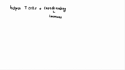 helper-t-cells-bind-to-antigen-complexes-with-class-ii-mhc-proteins-while-cytotoxic-t-cells-bind-to-antigen-complexes-with-class-i-mhc-proteins-true-or-false-85986
