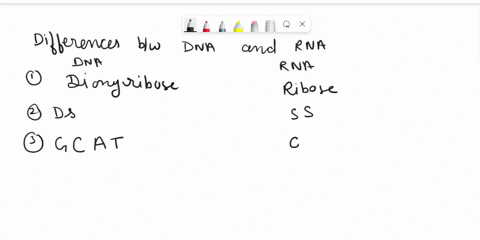 genetics-study-guide-explain-the-basic-structure-of-dna-and-rna-in-microorganisms_-2-what-are-the-major-differences-in-structure-between-both-nucleic-acids-3-outline-the-major-steps-of-dna-r-54642