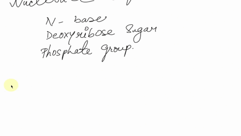 dna-structure-3-within-the-dna-strand-below-label-all-5-ends-all-3-ends-a-phosphate-group-a-deoxyribose-sugar-a-nitrogenous-base-then-draw-a-circle-around-a-hydrogen-bond-12pt-oh-hc-chz-hzc-30363