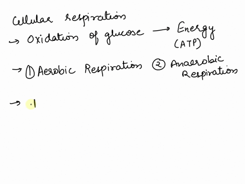 what-are-the-products-of-cellular-respiration-a-oxygen-atp-water-b-carbon-dioxide-and-sugars-c-oxygen-and-sugars-d-carbon-dioxide-atp-and-water-15114