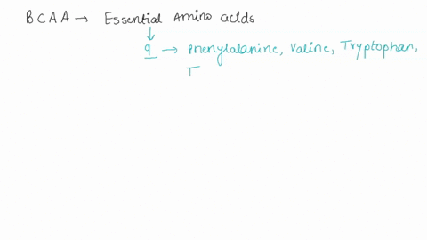 1-which-of-the-following-amino-acids-represent-the-branched-chain-amino-acids-glycine-alanine-threonine-phenylalanine-tyrosine-tryptophan-valine-leucine-isoleucine-arginine-lysine-histidine-05165