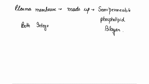 which-statement-is-true-bout-the-plasma-membrane-the-proteins-make-up-the-matrix-of-the-membrane_-the-model-can-be-likened-to-sandwich-where-phospholipids-are-like-the-bread-and-proteins-are-40514