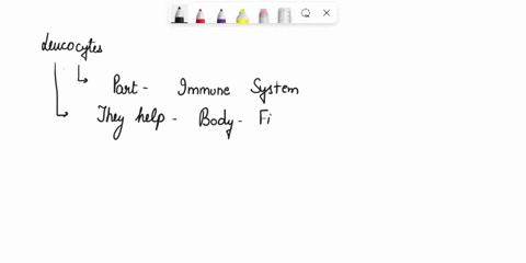 10-give-3-drug-examples-that-have-category-x-and-explain-their-mechanism-of-toxic-effect-type-98695