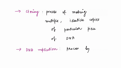 is-cloning-dna-replication-42588