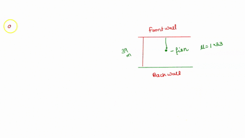 the-back-wall-of-home-aquarlum-is-mlrror-that-distance-of-390-cm-away-from-the-front-wall-the-walls-of-the-tank-are-negligibly-thin-fish-_-swlmming-midway-between-the-front-and-back-walls_-b-35877