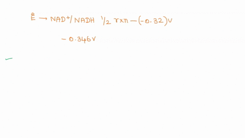 e-of-the-nad-nadh-half-reaction-is-_032-v-the-e-of-the-acetoacetate-8-hydroxybutyrate-half-reaction-is-_0346-v-for-a-redox-reaction-based-on-two-redox-couples-the-spontaneous-net-reaction-re-13538
