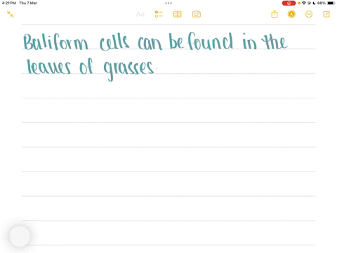 which-of-the-following-statements-is-correct-choose-all-that-apply-bulliform-cells-can-be-found-in-the-leaves-of-grasses-to-avoid-water-loss-the-bulliform-cells-can-contract-causing-the-leaf-to-wilt-a