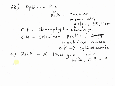 question-25-mvi-1-question-24-contam-dna-contain-plantceils-question-chlor-opim-intrenaold-jldinimj-o-1-iconcentation-81718