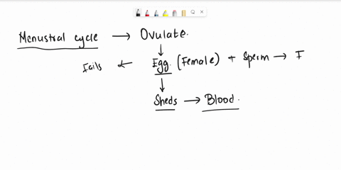 which-of-the-following-statements-about-the-female-reproductive-cycle-is-false-assuming-the-length-of-the-cycle-is-28-days-menstruation-usually-occurs-between-days-1-5_-the-ovary-is-in-the-l-27988
