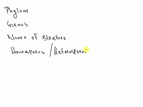 what-is-the-phylum-genus-name-of-the-entire-structure-and-is-it-homosporous-or-heterosporous-63066