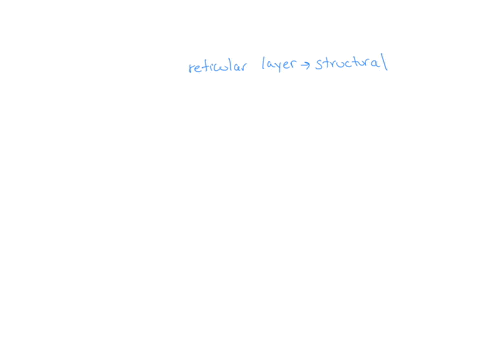 6-list-the-two-layers-of-the-dermis-from-internal-to-external-and-describe-their-function