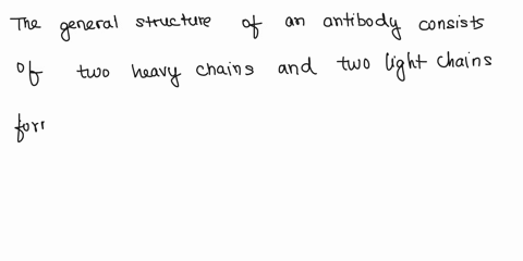 antibodies-are-one-of-the-key-elements-in-the-human-immune-system-what-is-the-general-structure-of-antibody-including-the-names-of-the-protein-chains-3-points-in-your-answer-t0-part-identify-12418
