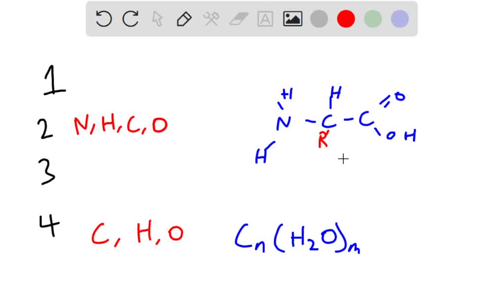SOLVED Biological Macromolecules Are Organized Into Four Main 