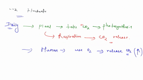 describe-how-atmospheric-carbon-dioxide-levels-fluctuate-daily-seasonally-and-geographically-explain-why-such-fluctuation-occurs-your-response-should-be-at-least-75-words-in-length-87806