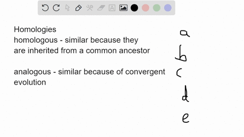 which-observations-are-examples-of-homologies-the-bones-that-support-the-wings-of-birds-pterosaurs-and-bats-are-arranged-in-the-same-order-in-each-animal-the-pharyngeal-arches-found-in-all-v-59953