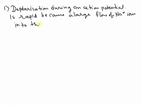 true-or-false-depolarization-during-an-action-potential-is-rapid-because-a-large-flow-of-na-ions-into-the-cell-significantly-increases-the-intracellular-na-concentration-79097