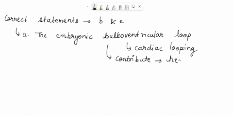 concerning-development-of-the-ventricles-o-a-a-the-embryonic-bulboventricular-loop-normally-bends-to-the-left-explaining-why-the-heart-is-on-the-left-side-of-the-body-bthe-embryonic-bulbus-c-75457