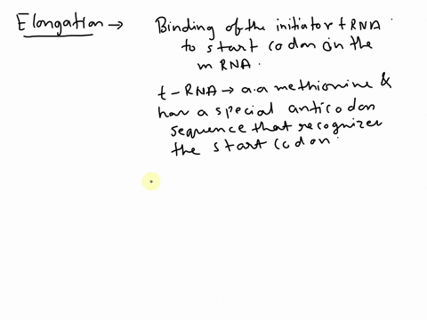 at-which-site-on-the-ribosome-does-the-transfer-rna-dock-initially-during-elongation-45686