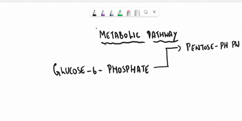 please-list-all-metabolic-pathways-besides-the-pentose-phosphate-pathway-that-glucose-6-phosphate-is-an-intermediate-of-49195