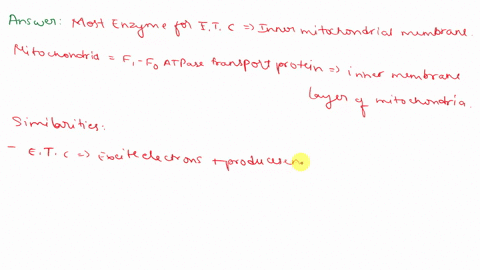 where-are-most-enzymes-in-the-electron-transport-chain-located-in-the-mitochondria-compare-op-in-mitochondria-with-pp-in-chloroplast-similarity-and-differences-eg-electron-flow-path-_-locati-27252