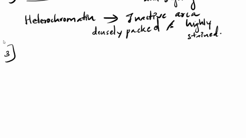 adenine-and-thymine-enwin-chargoll-work-showed-that-ona-mdlealc-knllnat-equjl-propontions-thz-dna-individuals-who-later-worked-euujl-ptononeons-cytoune-4nd-ruanin-this-was-essential-fo-suuci-34833