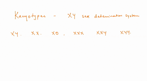 the-following-are-the-various-karyotypes-we-can-observe-among-the-organisms-with-the-xy-sex-determination-system-a-xy-b-xx-c-xo-d-xxx-e-xxy-f-xyy-1-which-karyotypes-become-opposite-sexes-bet-77973