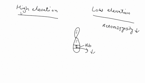 imagine-that-you-are-comparing-the-genetics-of-population-high-elevation-mice-and-to-a-population-of-low-elevation-mice_-upon-inspection-of-their-genomes-you-notice-that-there-is-verv-low-le-74843