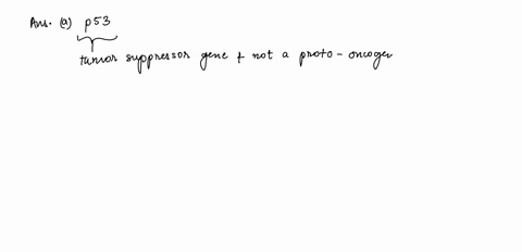 which-of-the-following-is-not-an-example-of-a-proto-oncogene-that-could-mutate-to-become-an-oncogene-a-p53-b-erbb-c-ras-d-raf-91604