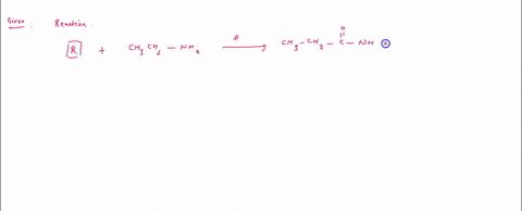 organic-functional-groups-predicting-the-reactants-or-products-of-amidation-what-is-the-missing-reactant-in-this-organic-reaction-rmathrmch_3-mathrmch_2-mathrmnh_2-xrightarrowdelta-mathrmch_3-mathrmch