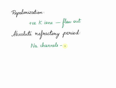 explain-how-repolarization-happens-give-characteristics-of-the-absolute-and-relative-refractory-periods-in-terms-of-voltage-gated-sodium-channel-conformation-at-what-point-can-a-new-action-p-05863