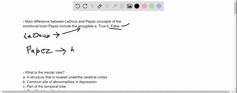 -main-difference-between-ledoux-and-papez-concepts-of-the-emotional-brain-papez-include-the-amygdala-a-true-b-false-what-is-the-insular-lobe-a-a-structure-that-is-located-under-the-cerebral-28242