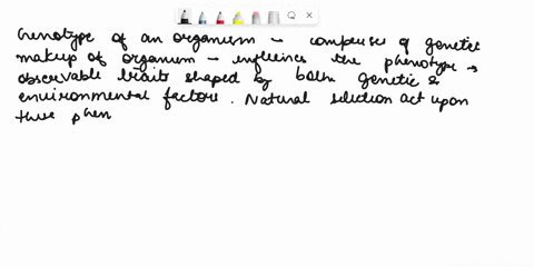 2-describe-the-relationship-between-an-organisms-genotype-phenotype-environment-and-natural-selection-3-what-five-characteristics-must-a-population-have-to-never-have-a-change-in-allele-freq-78292