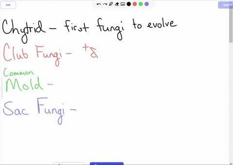 drag-the-tiles-to-the-correct-boxes-to-complete-the-pairs-match-the-descriptions-to-the-correct-type-of-fungi-has-positive-and-negative-mating-strands-has-erect-fruiting-body-the-first-fungi-04625
