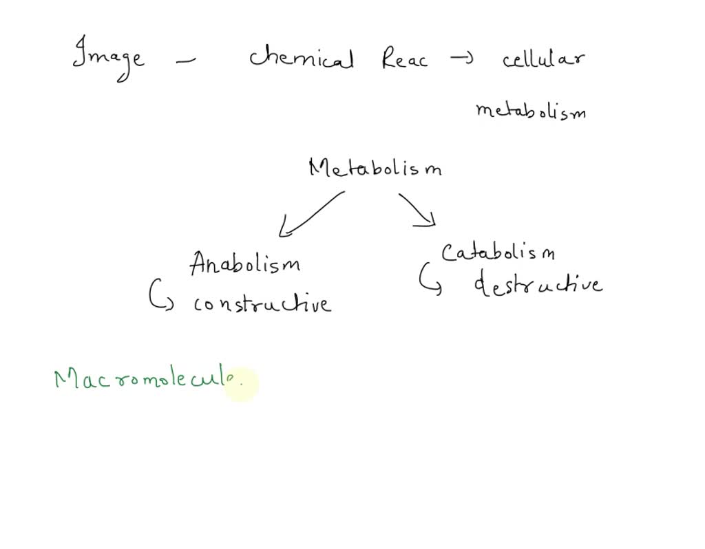 SOLVED: Label The Image To Test Your Understanding Of The Cellular ...