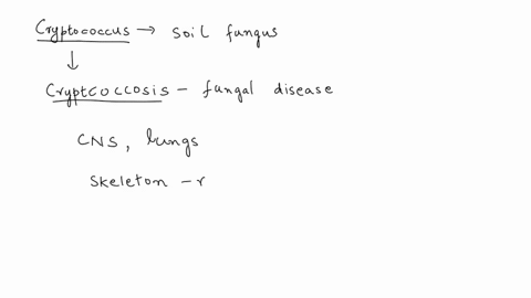 pra-letture-question-17-padicnt-mri-turns-up-an-abscess-the-collar-bone-suosequent-diopsy-revejls-texunent-svstemic-infectlon-of-cryprococcus_-whicn-0f-these-antimicrobials-would-be-te-mcst-49706